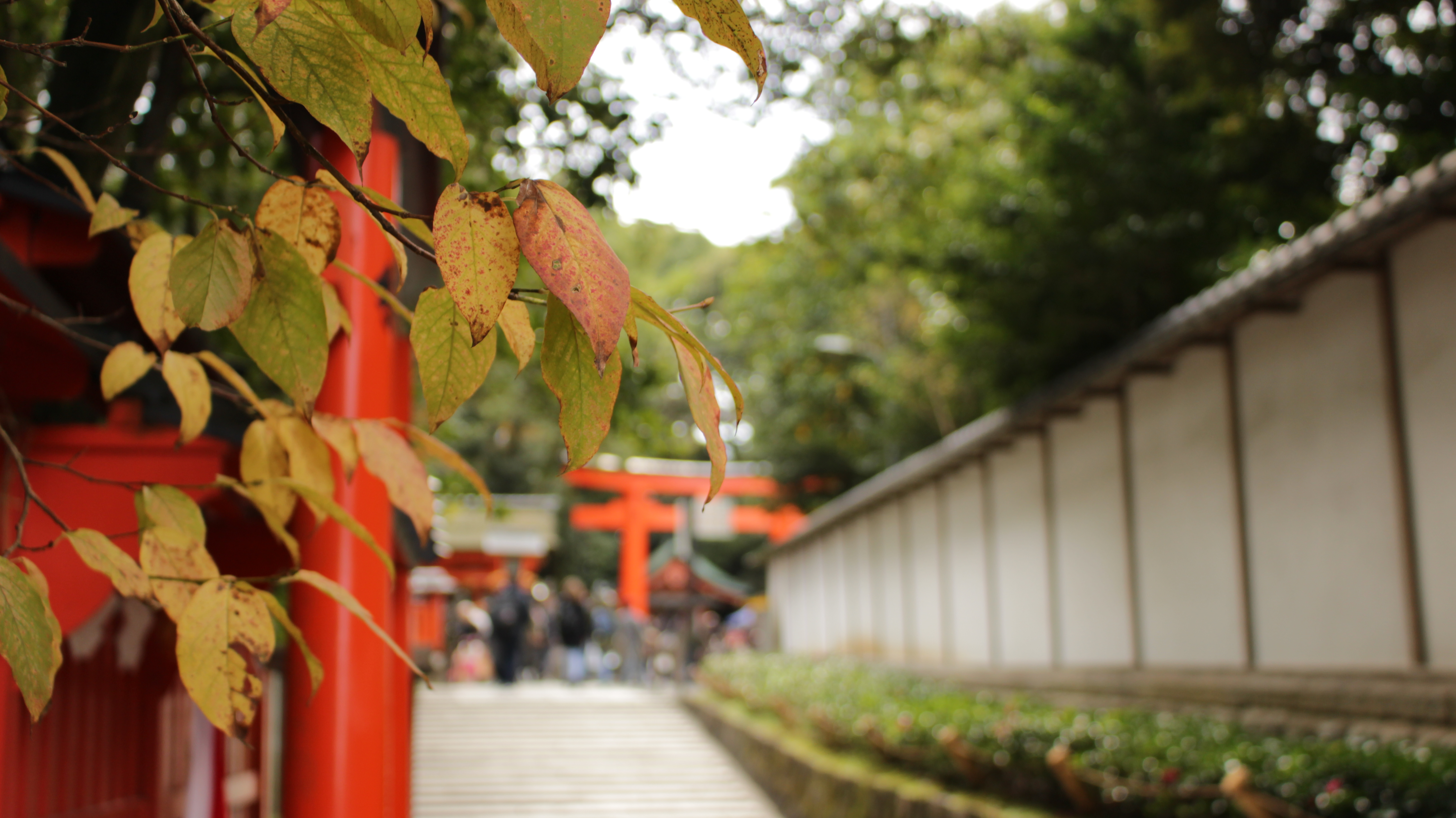 サロン集客～没頭すると見えないものが見えるようになる