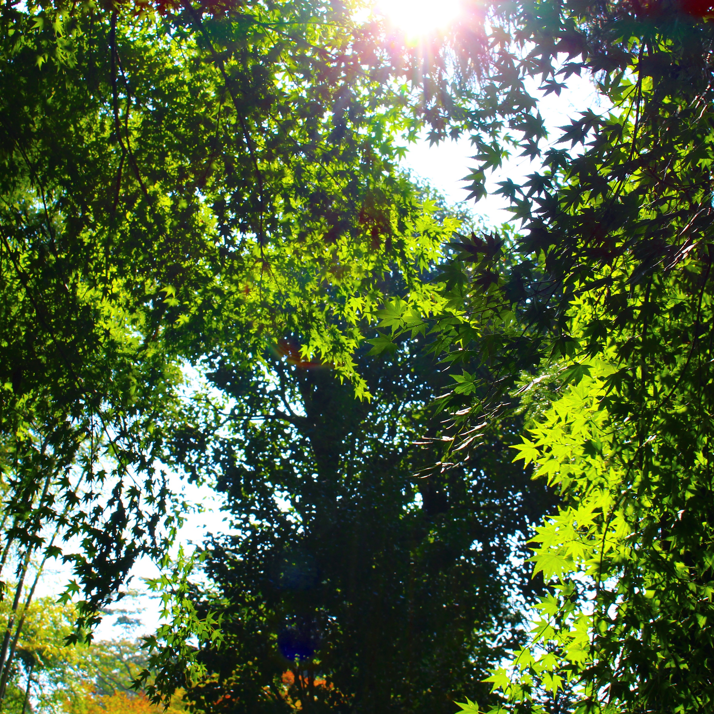 サロン経営～虚像はバレている