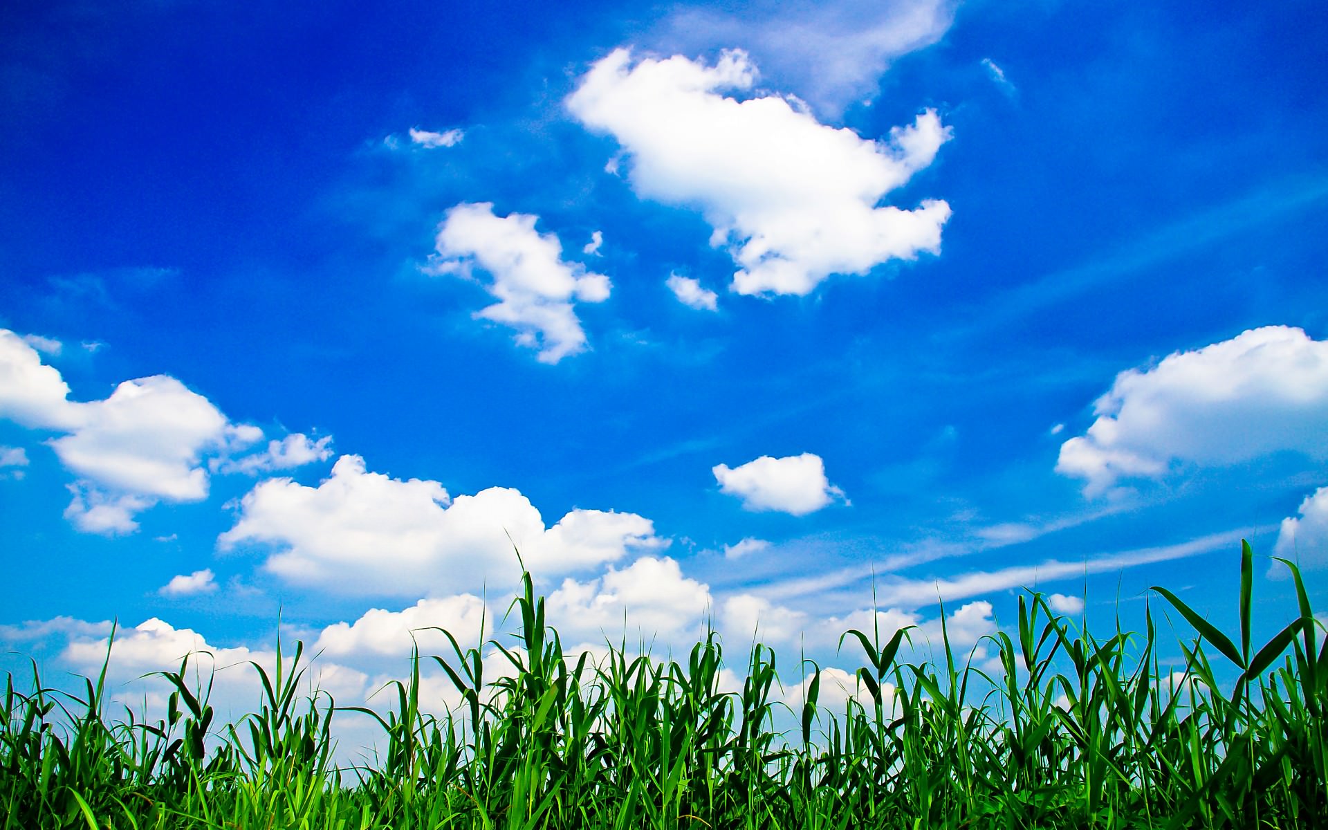 スケジュール管理で多くの人が忘れている重要項目